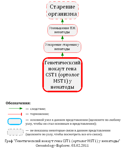 Генетическсий нокаут гена CST1 (ортолог MST1) у нематоды