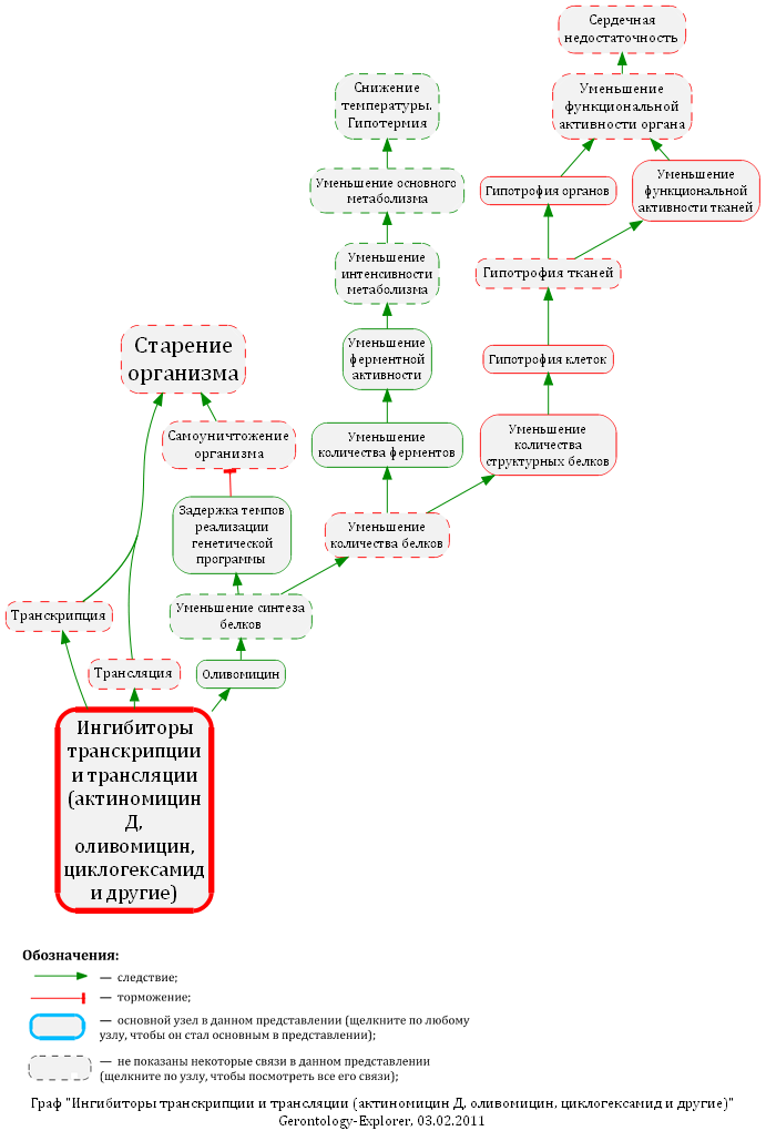 Ингибиторы транскрипции и трансляции (актиномицин Д, оливомицин, циклогексамид и другие)