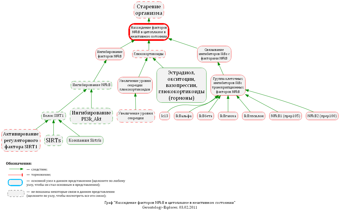 Нахождение факторов NFkB в цитоплазме в неактивном состоянии